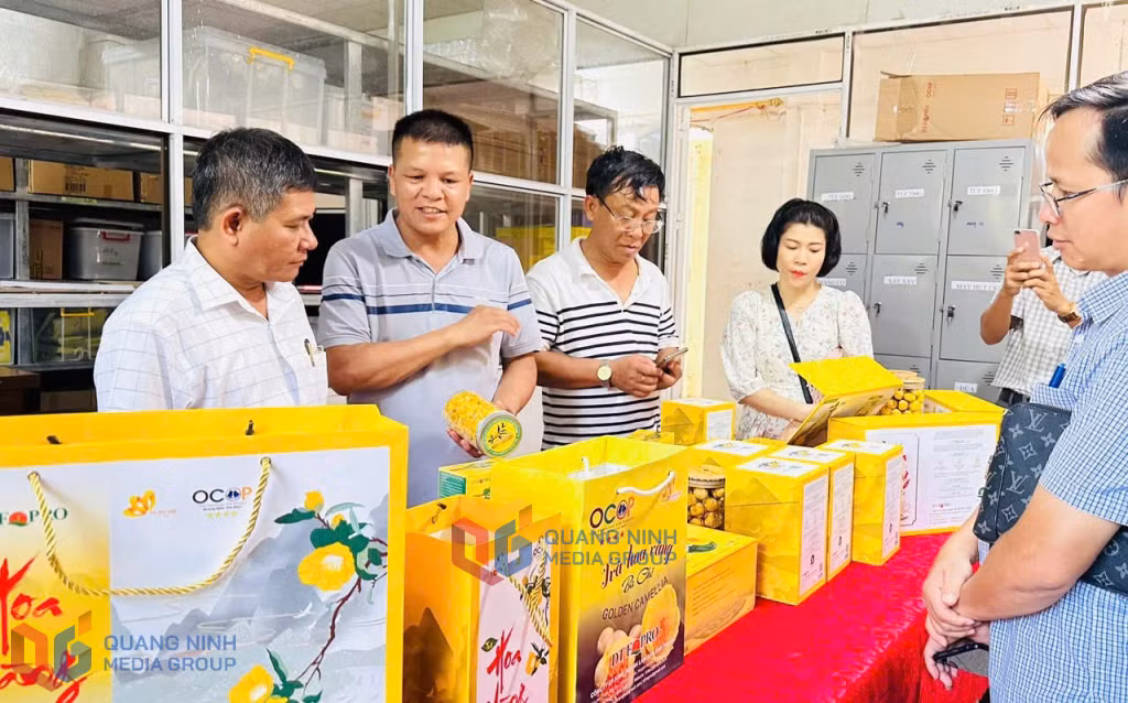 Anh Nịnh Văn Trắng, xã Đạp Thanh, huyện Ba Chẽ (thứ 2 từ trái sang), giới thiệu về sản phẩm OCOP 5 sao trà hoa vàng. Ảnh: Việt Hoa