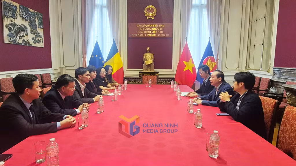 Quang cảnh buổi làm việc của Đoàn đại biểu tỉnh Quảng Ninh do đồng chí Vũ Văn Diện, Phó Chủ tịch Thường trực UBND tỉnh làm trưởng đoàn làm việc với đồng chí Nguyễn Văn Thảo, Đại sứ Việt Nam tại Vương quốc Bỉ, kiêm Đại Công quốc Lúc-xăm-bua, Trưởng Phái đoàn Việt Nam tại Liên minh châu Âu.