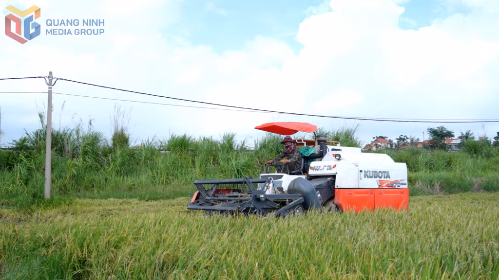 Hộ ông Nguyễn Văn Kiên (khu Thanh Bình, phường An Sinh) làm giàu từ dịch vụ cơ giới hóa trong sản xuất nông nghiệp.