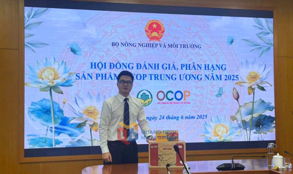 Sản phẩm Miến dong Bình Liêu của Công ty Công ty Cổ phần Thương mại và Dịch vụ Bình Liêu được chứng nhận đạt 5 sao cấp Quốc gia.