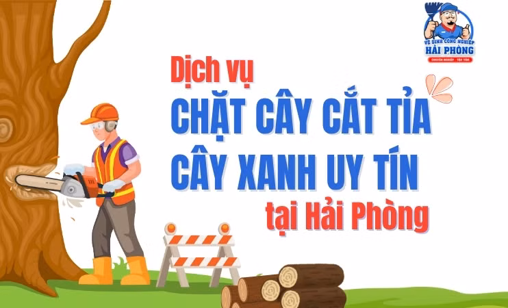 HOANGHUYCLEAN dịch vụ chặt cây, cắt tỉa cây xanh tại Hải Phòng ảnh 1