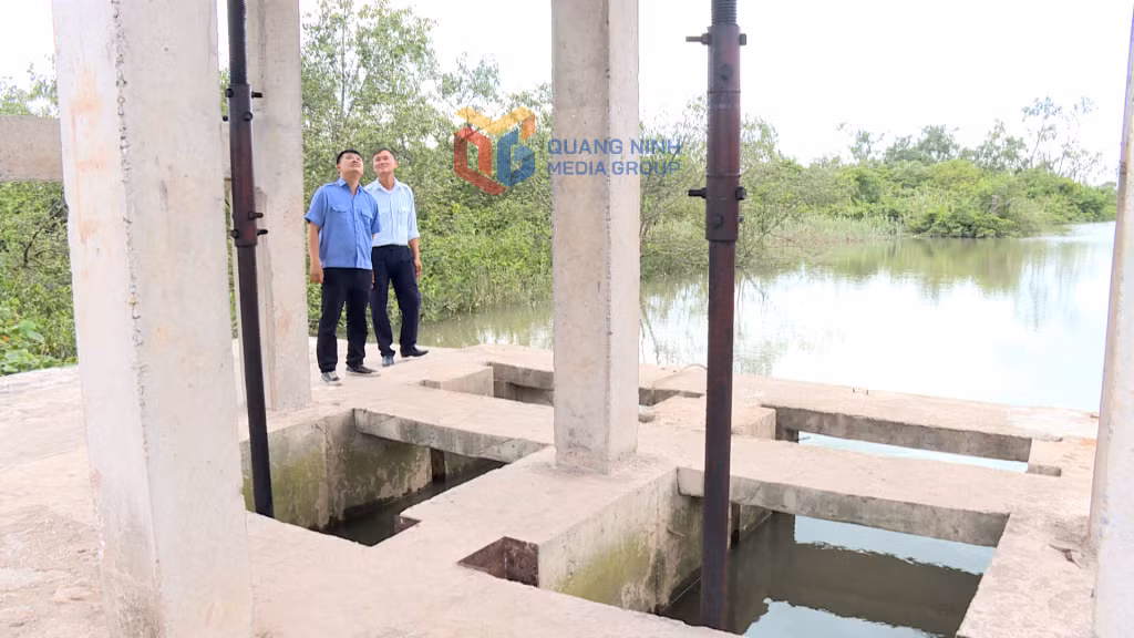 Cán bộ Hạt Quản lý đê TX Quảng Yên kiểm tra cơ sở hạ tầng tại các điểm xung yếu để kịp thời xử lý khi phát hiện sự cố.