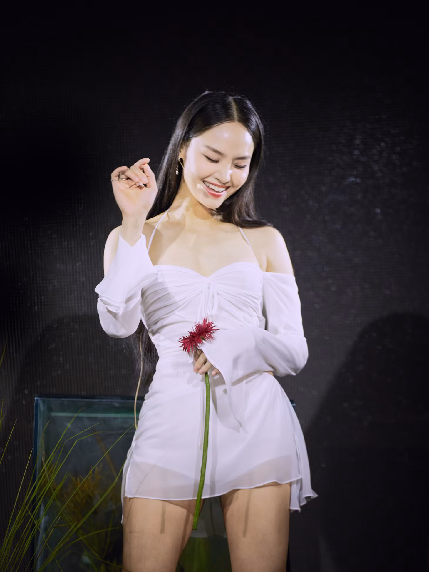 Miu Lê hiện tại.