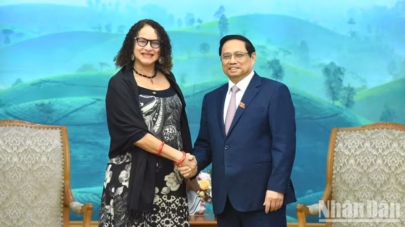 Thủ tướng Phạm Minh Chính tiếp Bộ trưởng Khoa học, Công nghệ và Đổi mới, Chủ tịch Đảng Cộng sản Brazil Luciana Santos.