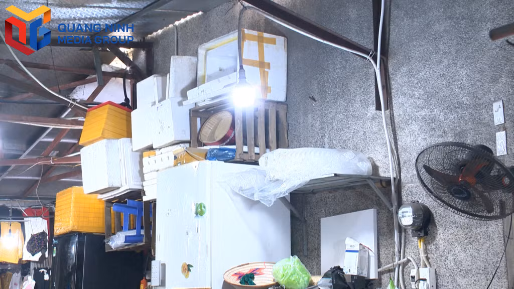Tủ lạnh và các loại thùng xốp được đặt sát nhau. Ảnh: CTV Khánh Linh.