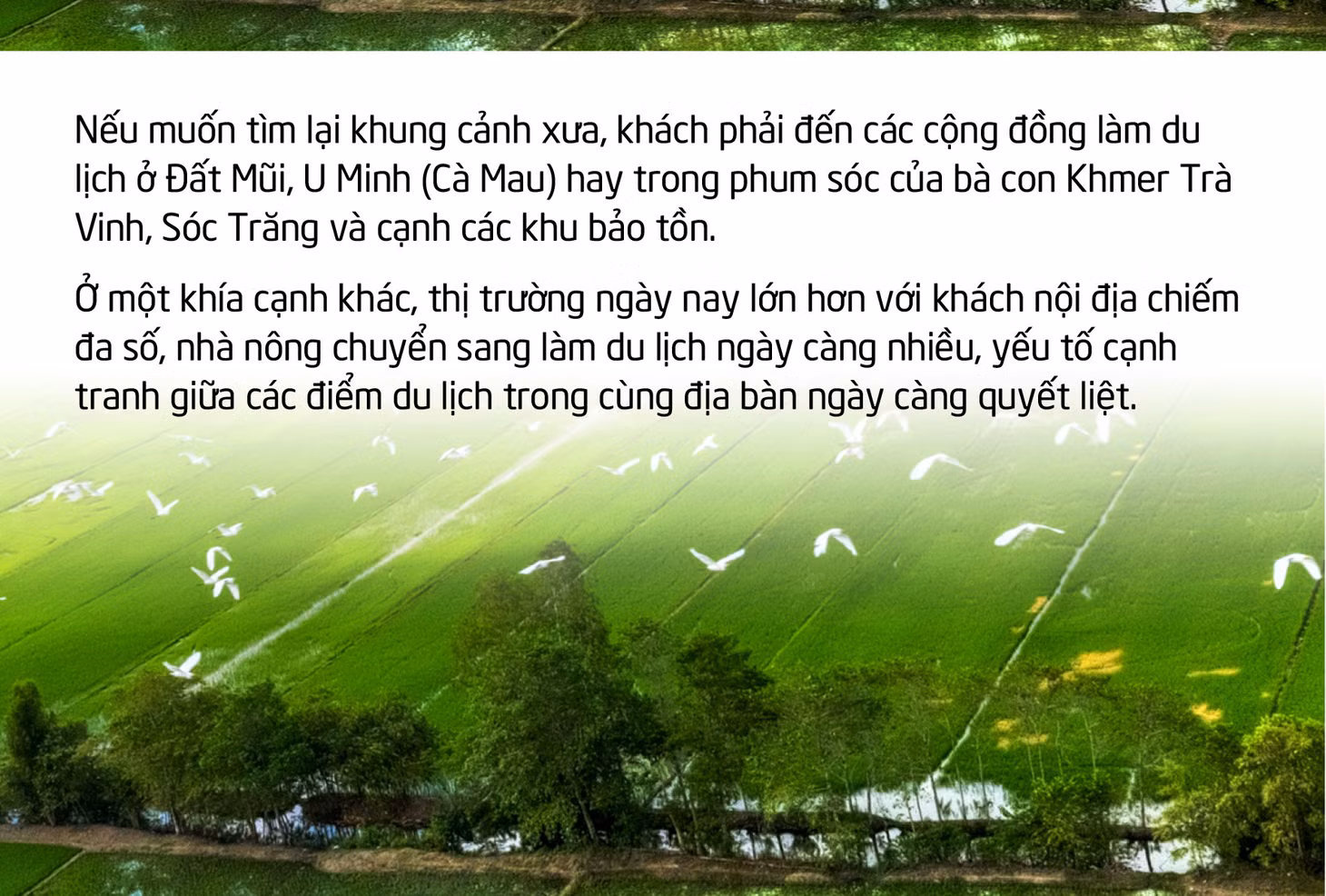 Du lịch cộng đồng miền Tây: Về nghe tiếng ếch kêu... - Ảnh 8.