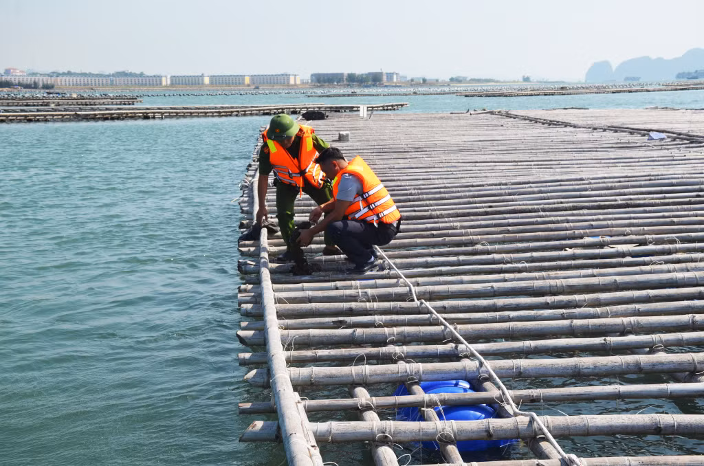 Lực lượng chức năng của xã Hoàng Tân kiểm tra hoạt động NTTS trên địa bàn.