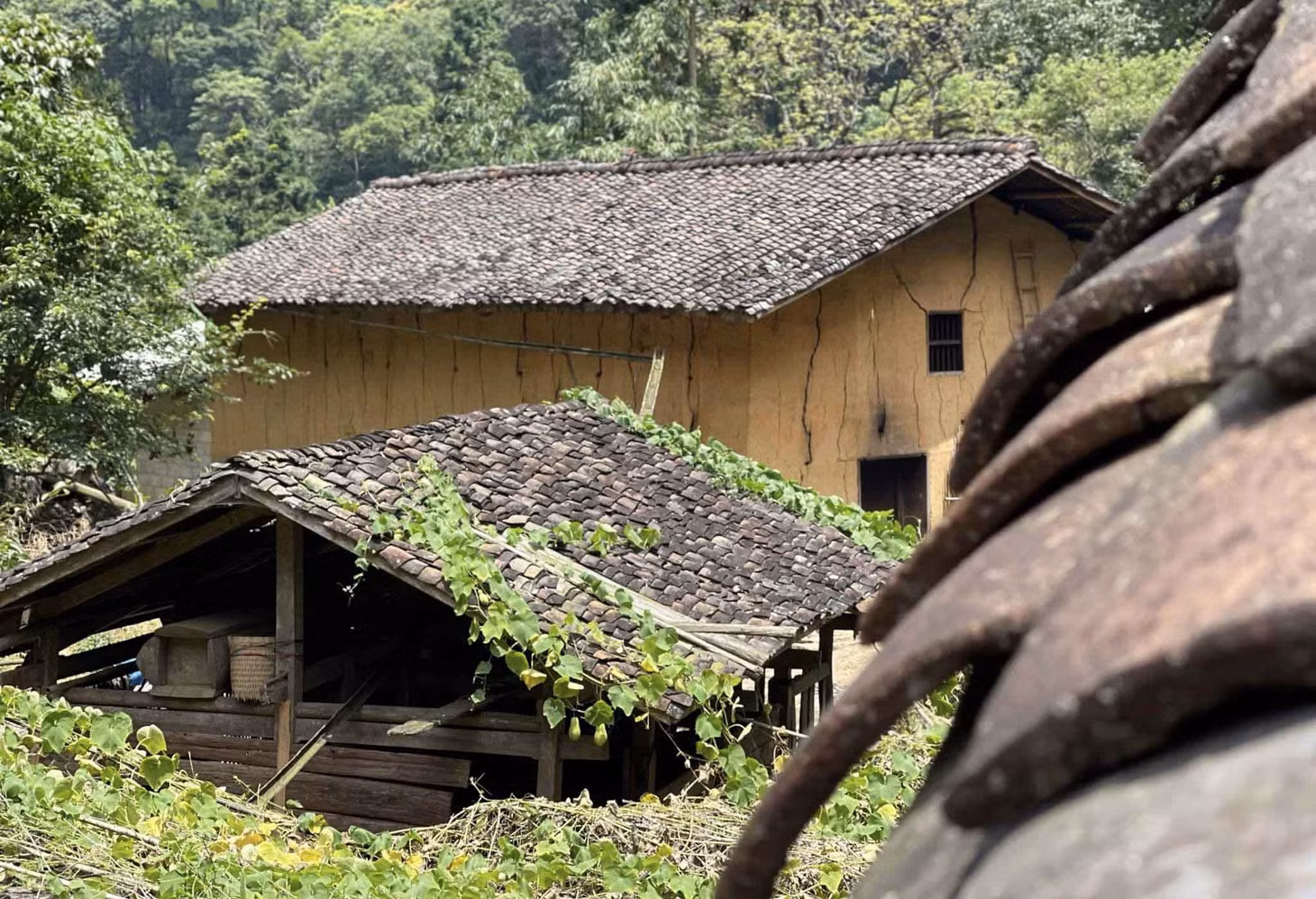 Nằm trên độ cao khoảng 2000m so với mực nước biển, ngôi làng nép dưới rừng già, càng làm tăng thêm cảm giác bí ẩn. Ảnh: Nhóm Hà Giang Trẻ