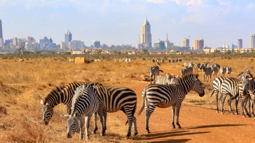 Công viên Quốc gia Nairobi nằm ở cách trung tâm thủ đô của Kenya một quãng đường ngắn. (Ảnh: Tourlane)