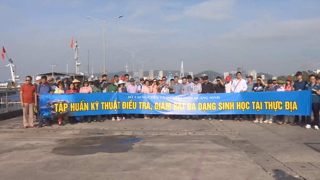 Các đại biểu khởi hành tham gia tập huấn thực địa về hệ sinh thái biển trên Vịnh Hạ Long.