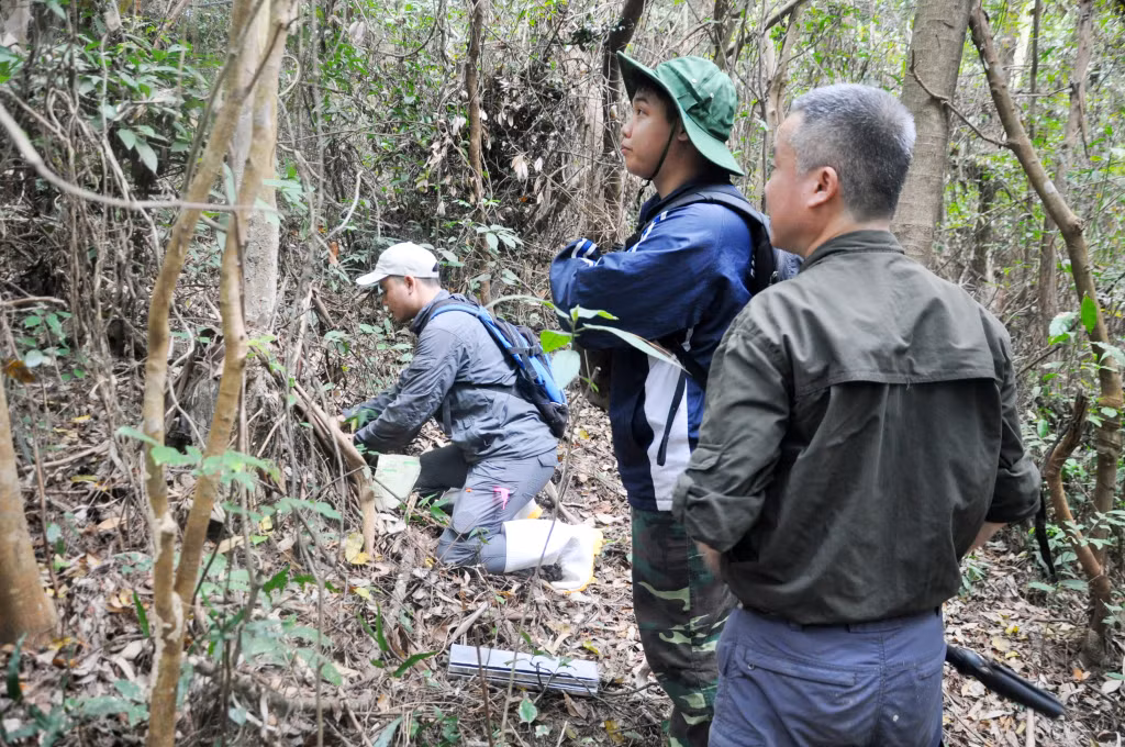 Các nhà khoa học của Viện Sinh thái và Tài nguyên sinh vật khảo sát về các loài thú nhỏ tại rừng Cô Tô.
