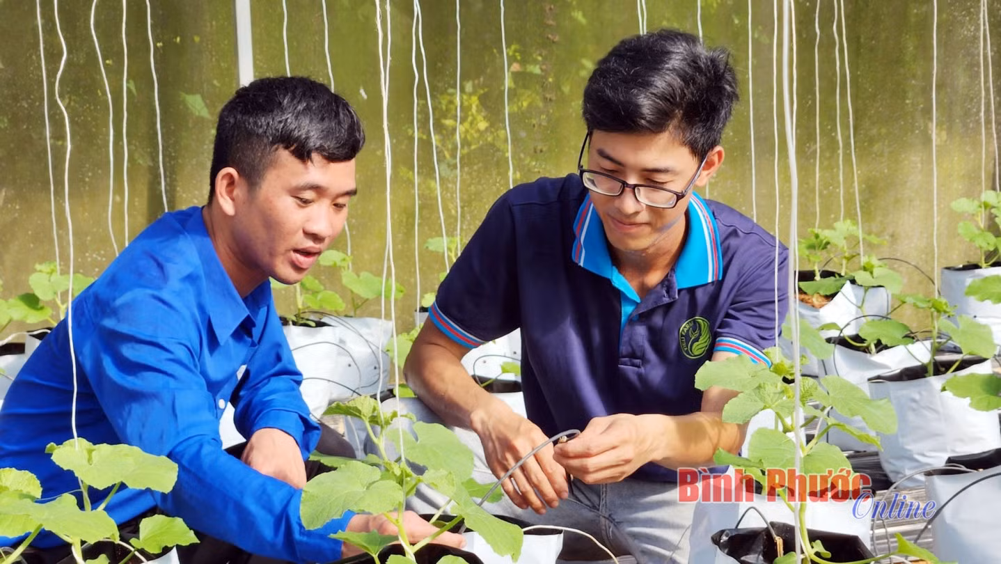 Trong nông nghiệp, ngành khoa học và công nghệ tập trung nghiên cứu, ứng dụng các giống cây trồng có năng suất, chất lượng cao, thích nghi với biến đổi khí hậu