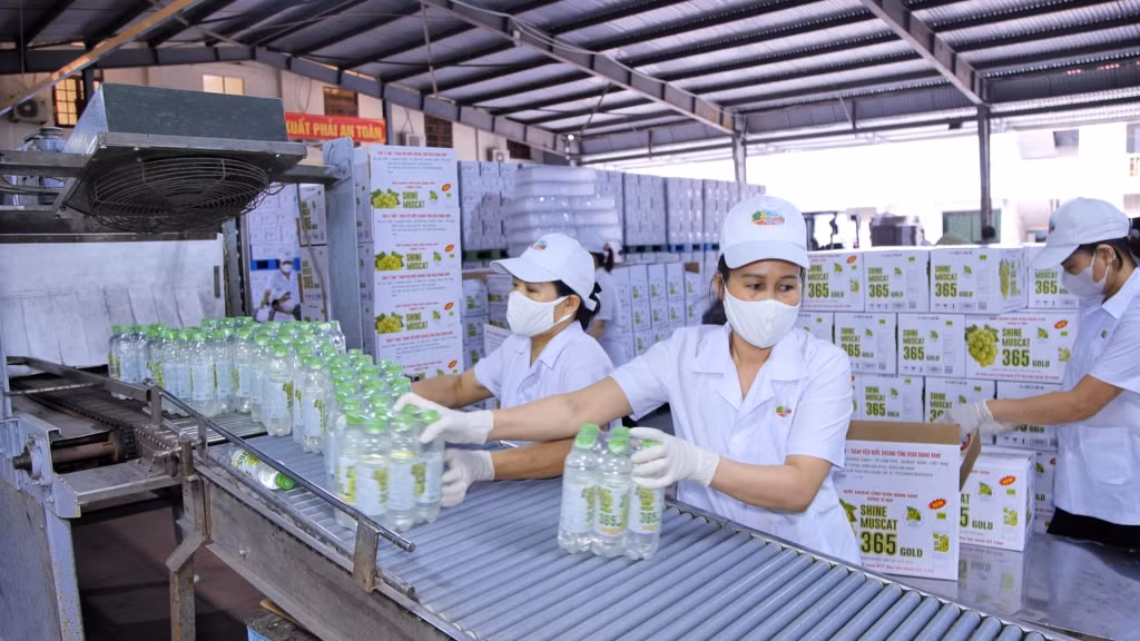Năm 2024, Công ty TNHH 1TV Nước khoáng Công đoàn Quang Hanh sản xuất sản phẩm nước khoáng mới.