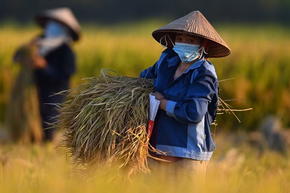 Việt Nam đứng đầu kim ngạch xuất khẩu nhiều mặt hàng nông nghiệp. Ảnh: Nam Khánh.