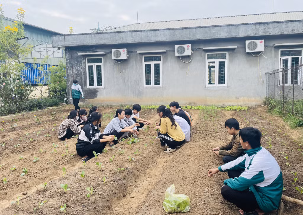 Lớp học làm vườn tại Trung tâm GDNN-GDTX TX Quảng Yên.