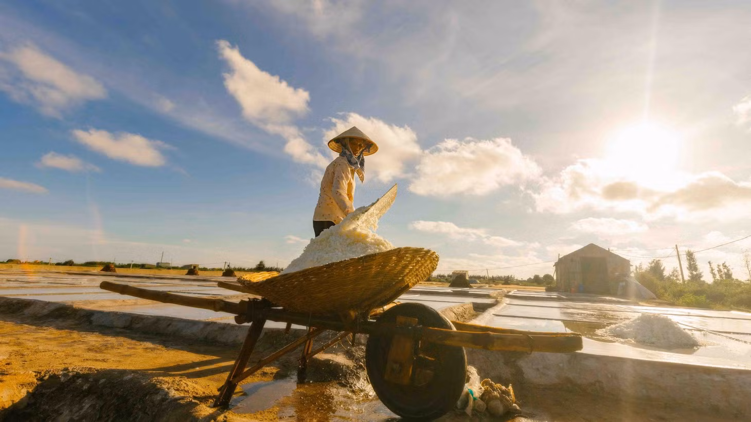 Dưới cái nắng chói chang, diêm dân Bạch Long vẫn miệt mài “cõng nắng”, tạo ra những hạt muối trắng tinh. Ảnh: Nguyễn Hồng Sơn