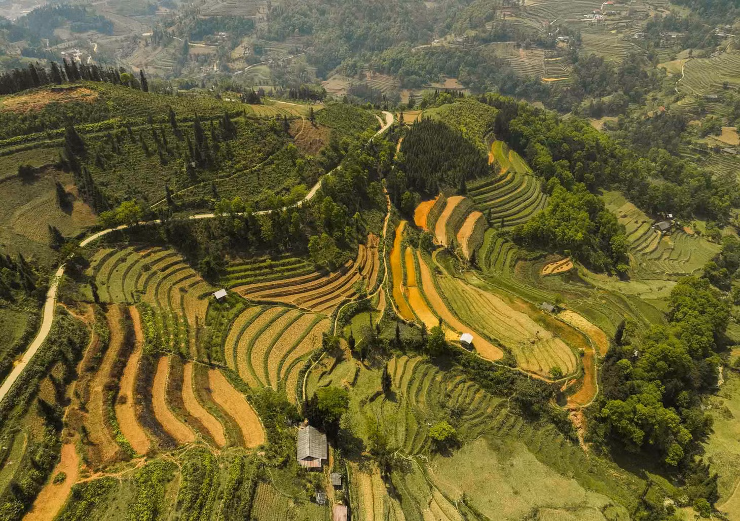 Đến đây, du khách cũng có thể ngắm những thửa ruộng bậc thang tầng tầng lớp lớp. Ảnh: Van Ngo