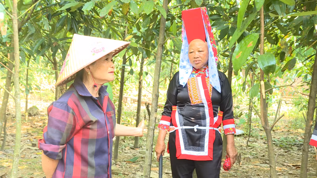 Người dân xã Quảng Sơn đang cùng nhau chia sẻ kinh nghiệm trong sản xuất