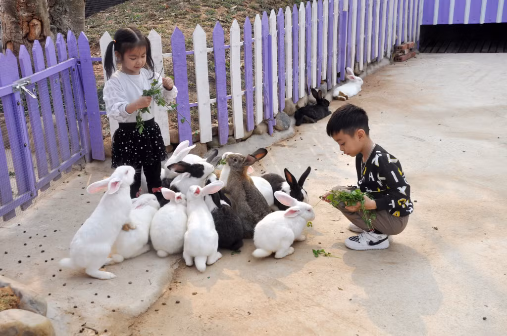Khu sinh thái trải nghiệm Đảo Tím là sản phẩm du lịch mới, được đưa vào hoạt động từ đầu năm nay tại Quảng Ninh Gate.