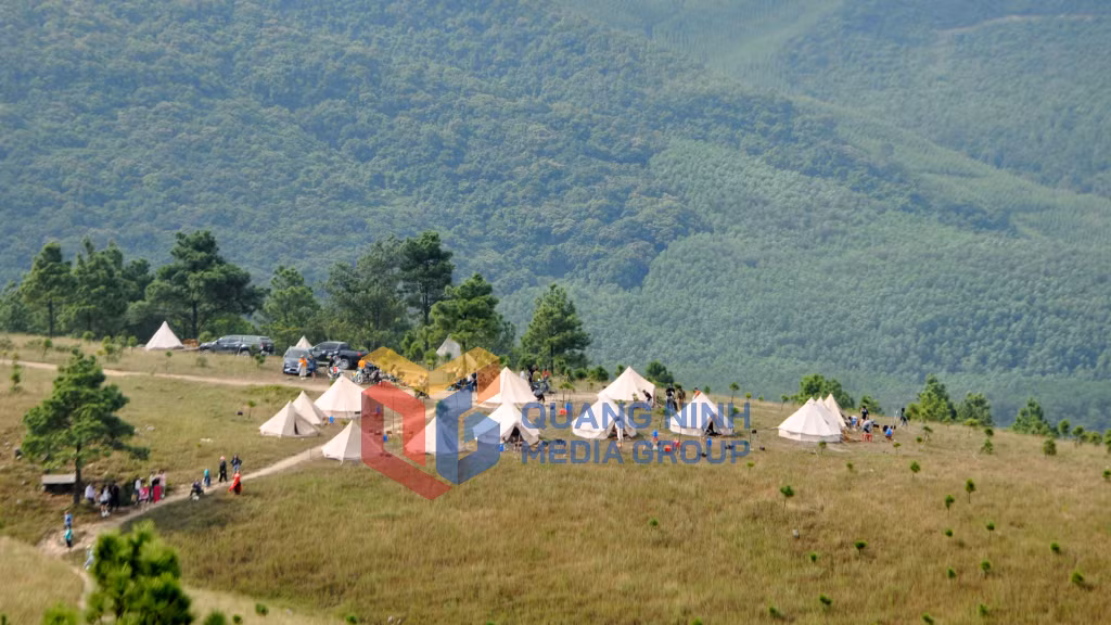 2023-12_Camping trên đồi Phượng Hoàng. Ảnh: Ngọc Mai