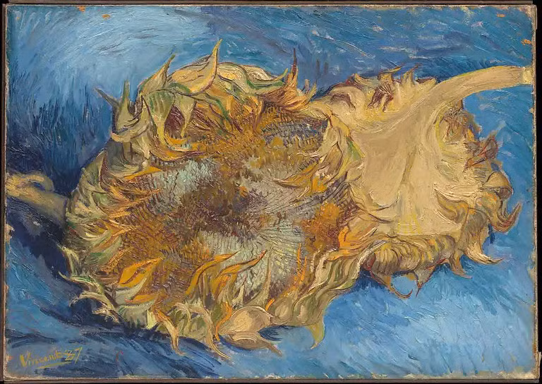 Van Gogh vẽ những bức hoa hướng dương đầu tiên ở Paris