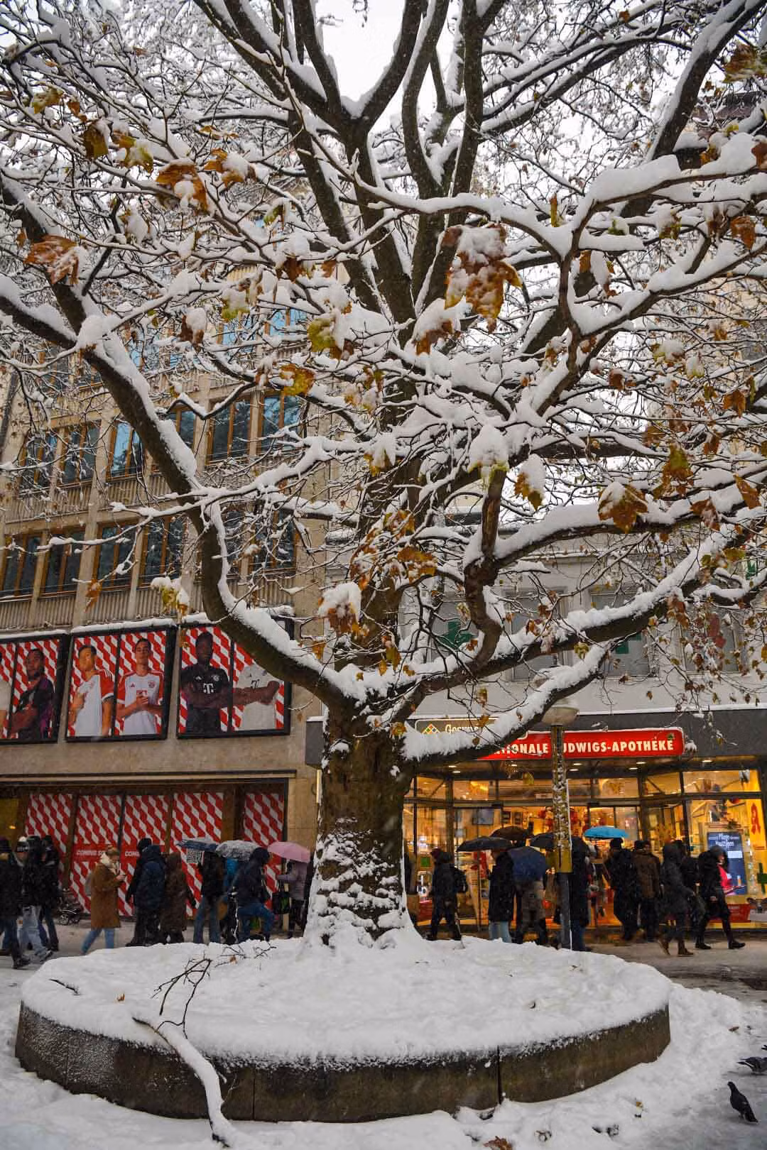 Munich không chỉ nổi bật bởi các công trình kiến trúc mà còn là thành phố văn hóa với hàng loạt bảo tàng, nhà hát và sân khấu khác nhau. Ảnh: Trung Trần