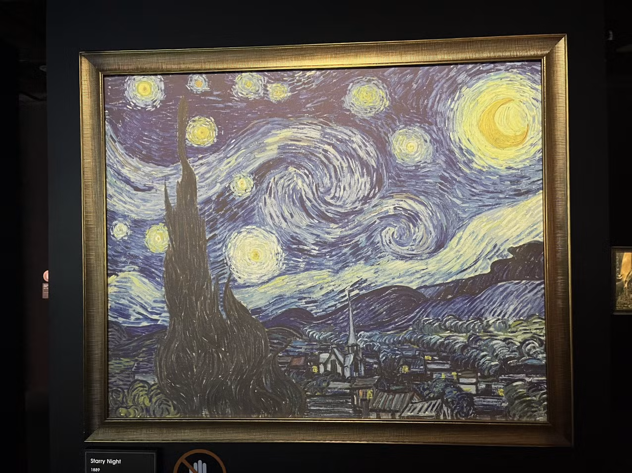 Bức tranh Đêm đầy sao là một bức tranh của họa sĩ người Hà Lan Vincent Van Gogh. Được vẽ vào tháng 6/1889, bức tranh miêu tả khung cảnh bên ngoài cửa sổ phòng bệnh của ông ở Saint-Rémy-de-Provence, miền Nam nước Pháp về đêm, mặc dù ông đã vẽ bức tranh vào ban ngày qua trí nhớ nhưng sau này bức tranh đã nổi tiếng trên thế giới.