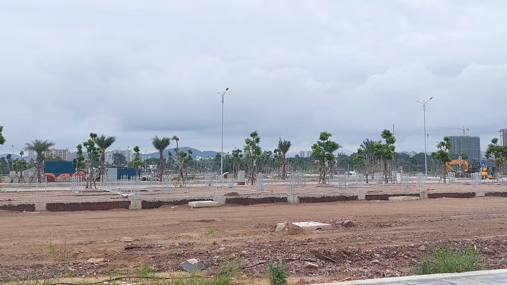 Dự án