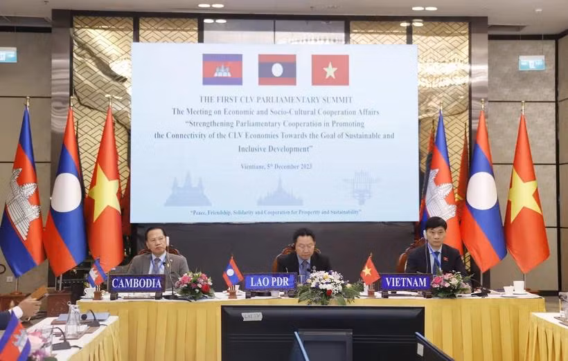 Chủ tọa Phiên họp về hợp tác kinh tế và văn hóa, xã hội. (Ảnh: Phạm Kiên/TTXVN)
