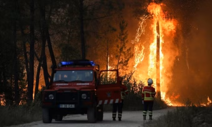 Lính cứu hỏa quan sát một đám cháy rừng ở khu vực Ourem, Bồ Đào Nha, hôm 12/7. Ảnh: Reuters.