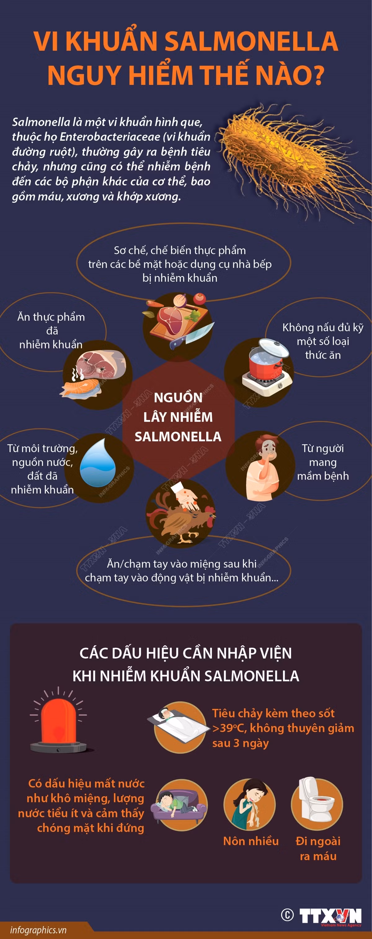 Cảnh giác với sự nguy hiểm của vi khuẩn Salmonella ảnh 1