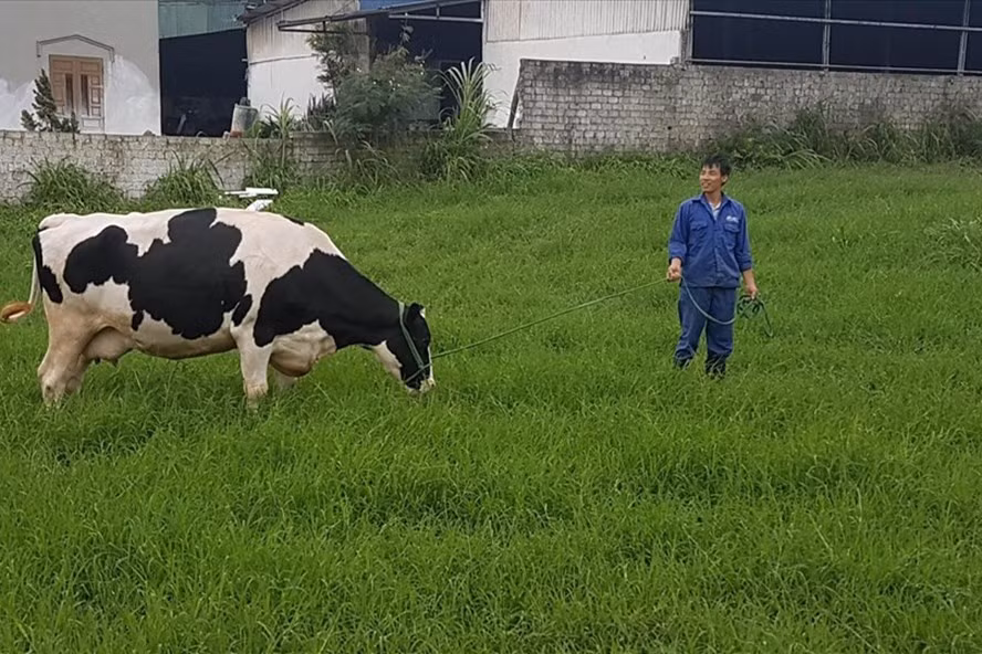 Ngành nông nghiệp Việt Nam cần được tái đầu tư mạnh mẽ để đáp ứng yêu cầu mới. Ảnh: Vũ Long