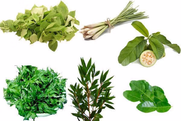 Các loại thảo dược thường dùng để xông hơi.