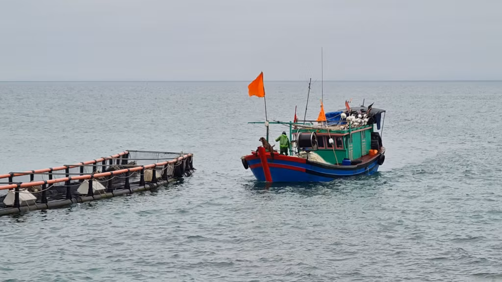 Điểm tựa vững chắc cho ngư dân vươn khơi, bám biển.