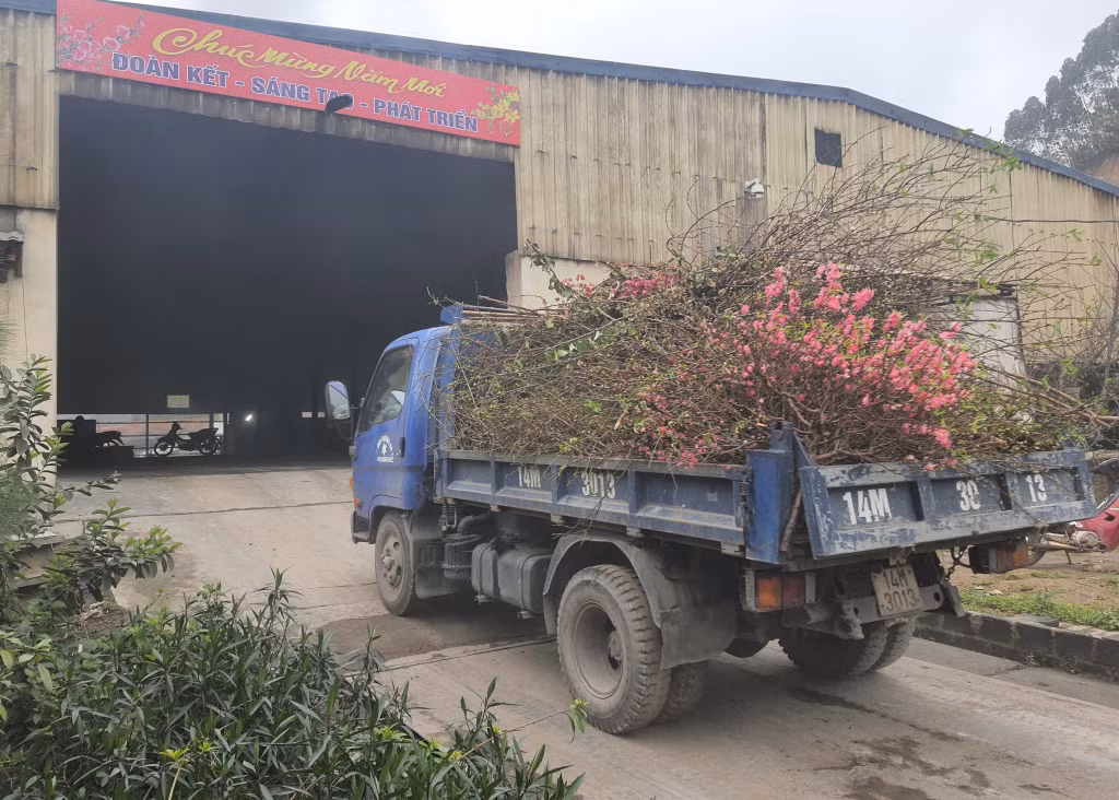 Lượng rác thải đổ về Khe Giang dịp tết tăng cao.