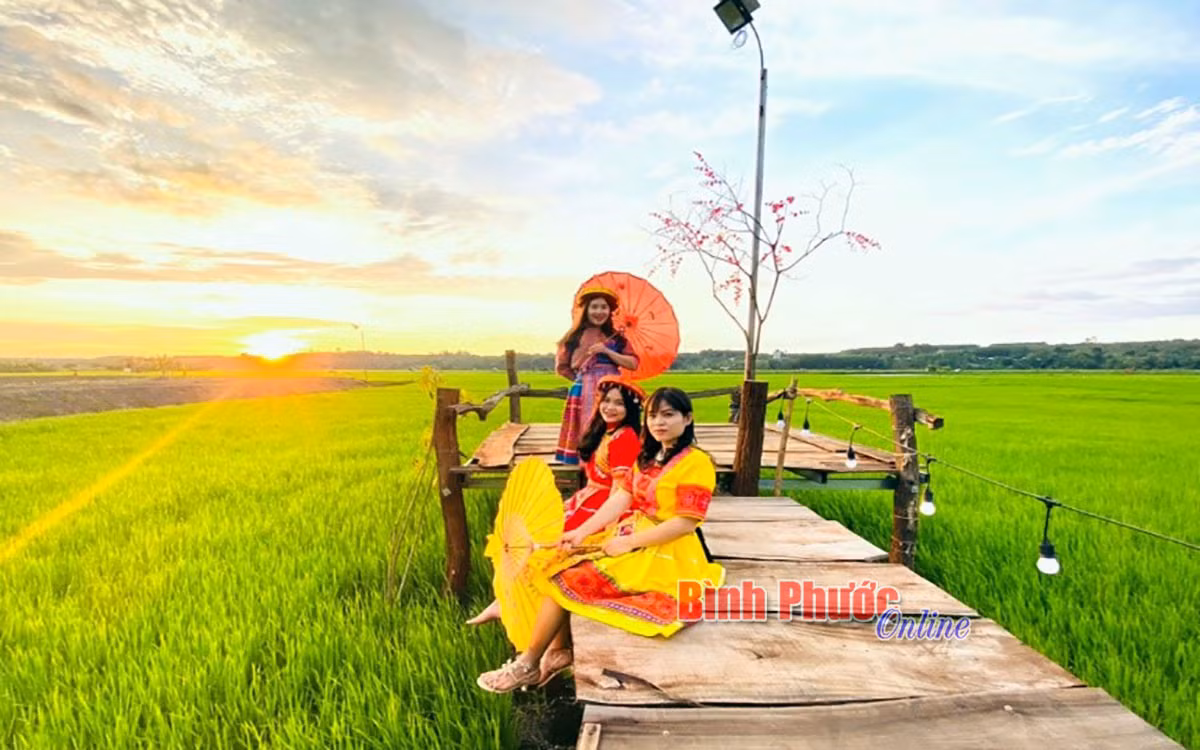 Du khách tìm đến khu dân cư sinh thái tại đồng ruộng thôn Bù Cà Mau, xã Phú Nghĩa, huyện Bù Gia Mập để vui chơi, giải trí cuối tuần