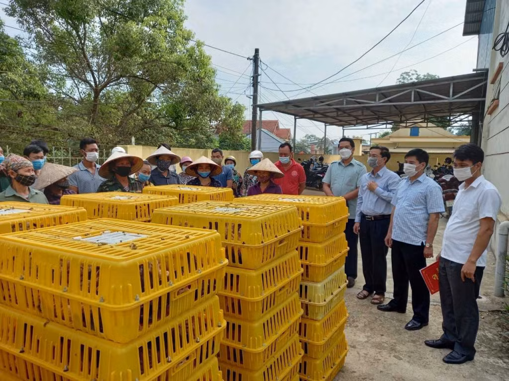 HND tỉnh trao hỗ trợ giống gà cho hội viên nông dân xã Đồn Đạc, huyện Ba Chẽ.