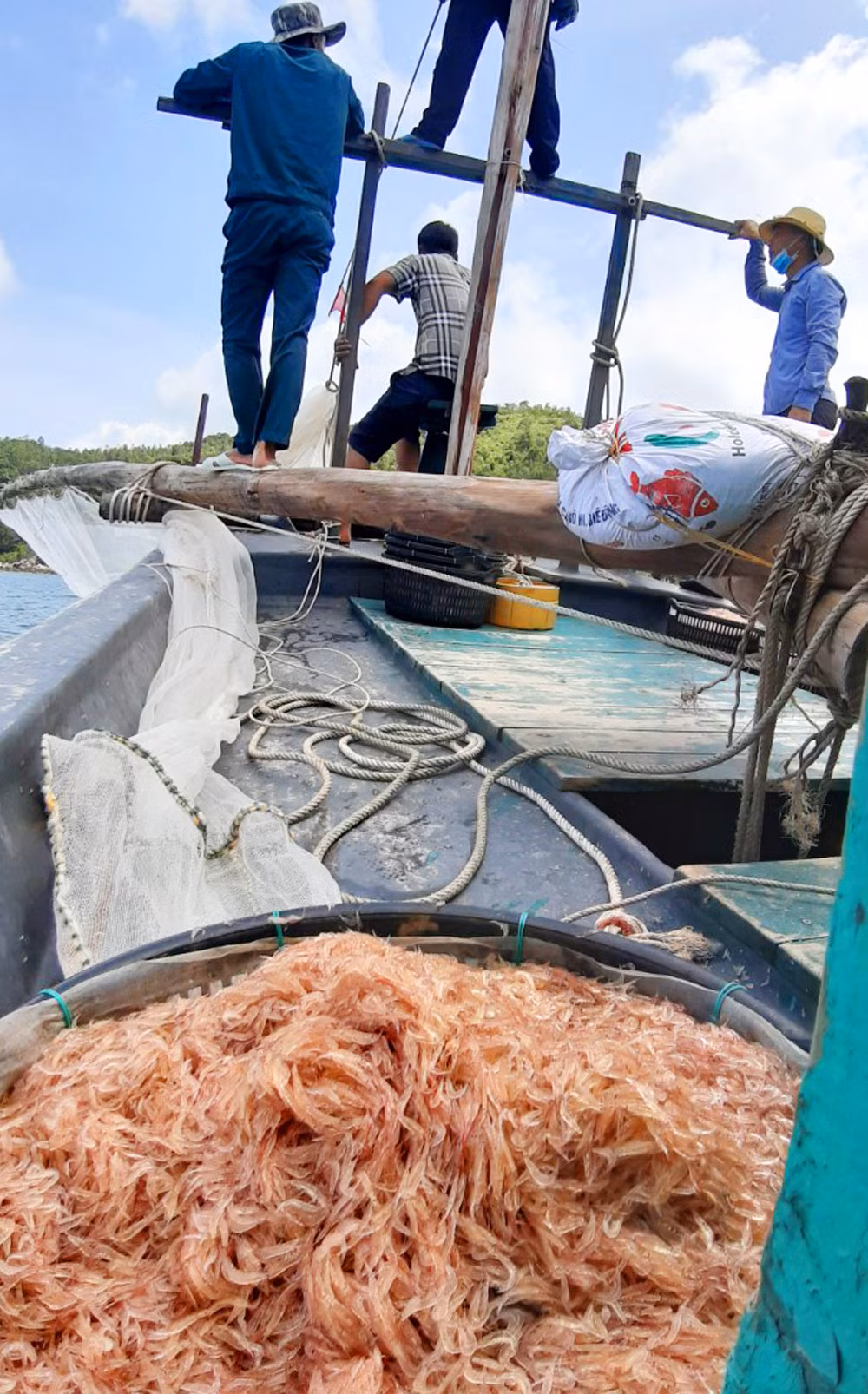 Thành quả của mỗi chuyến đi biển là vô số moi biển tươi sống.