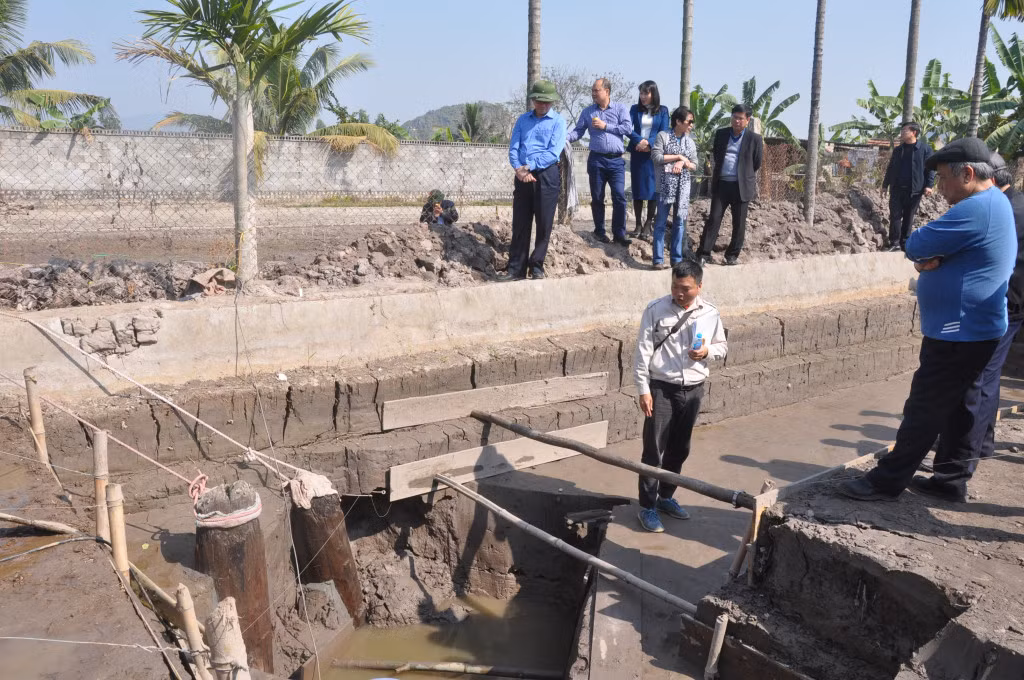 Nhiều cọc gỗ hàng nghìn năm tuổi được phát hiện qua khảo cổ tại di tích Thiên Long Uyển, xã Yên Đức (Đông Triều). Ảnh chụp tháng 1/2021.