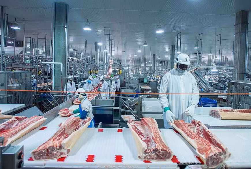 Giá lợn hơi giảm sâu kỷ lục, Việt Nam vẫn ồ ạt nhập thịt ngoại