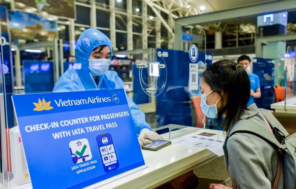 Hành khách xuất trình hộ chiếu, kết quả xét nghiệm COVID-19 trên ứng dụng IATA Travel Pass. (Ảnh: CTV/Vietnam+)