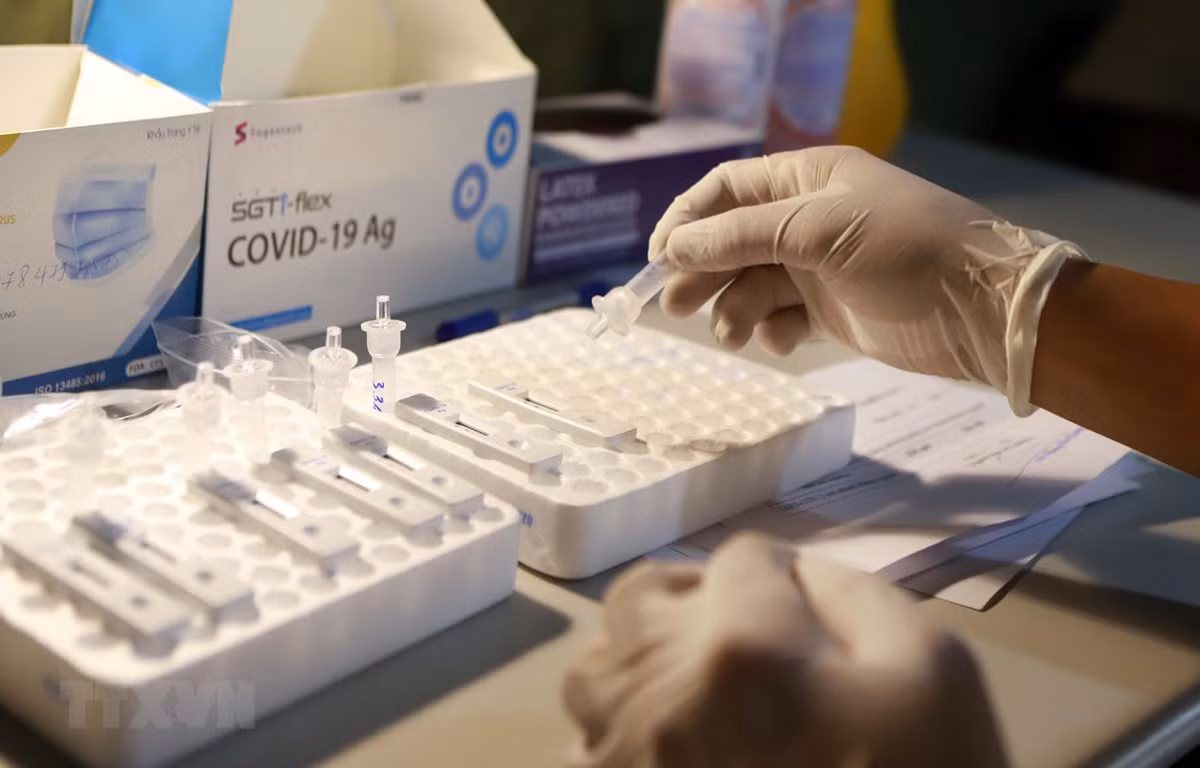 Kỹ thuật viên Trung tâm y tế huyện Tam Đảo test nhanh mẫu bệnh phẩm tìm virus SARS-CoV-2. (Ảnh: Hoàng Hùng/TTXVN)