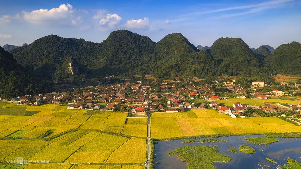 Mùa lúa chín vùng cao trong ấn tượng người làm du lịch ảnh 2