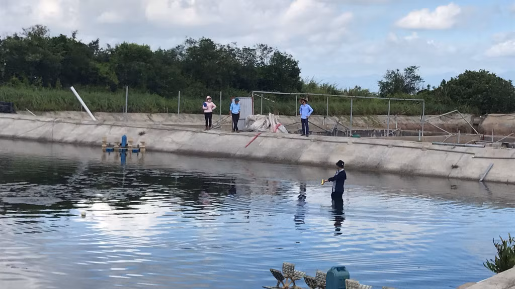 Cán bộ Trung tâm Phát triển quỹ đất và địa chính phường Hải Hòa (TP Móng Cái), đo đạc kiểm đếm GPMB dự án trên địa bàn. Ảnh: Trung Thành