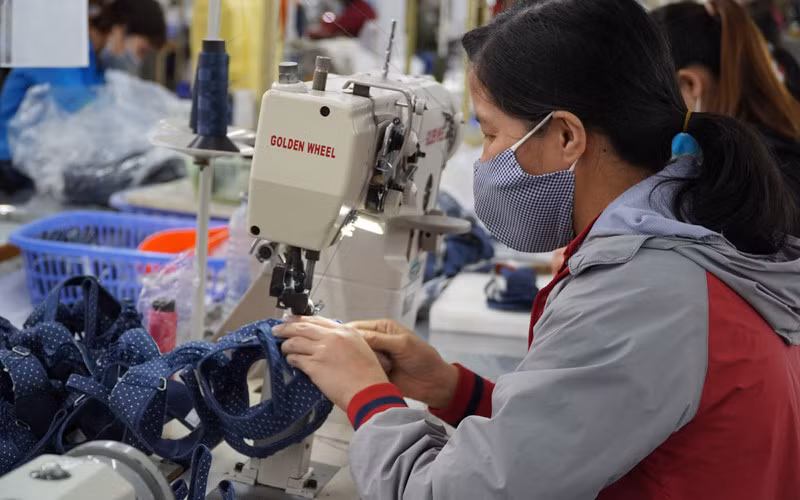 99% kim ngạch xuất khẩu giày dép của Việt Nam sang EU đều được hưởng ưu đãi từ hiệp định.