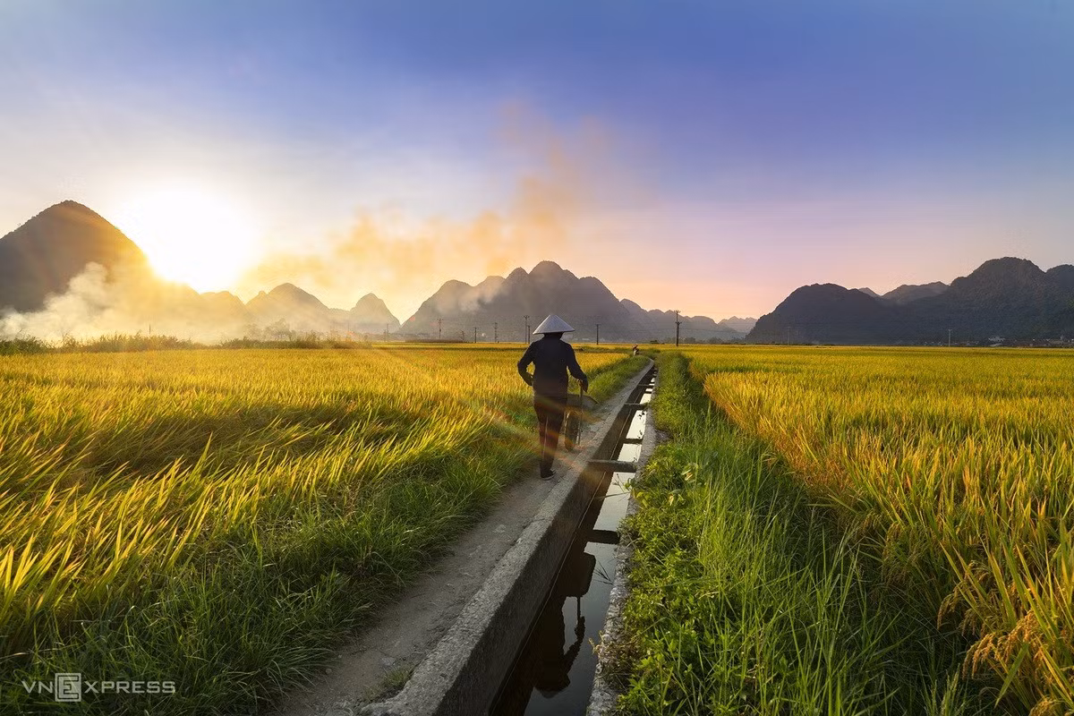 Mùa lúa chín vùng cao trong ấn tượng người làm du lịch ảnh 3