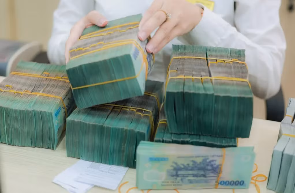 Lợi nhuận ngân hàng 2025 - Bức tranh đa sắc - Ảnh 1.