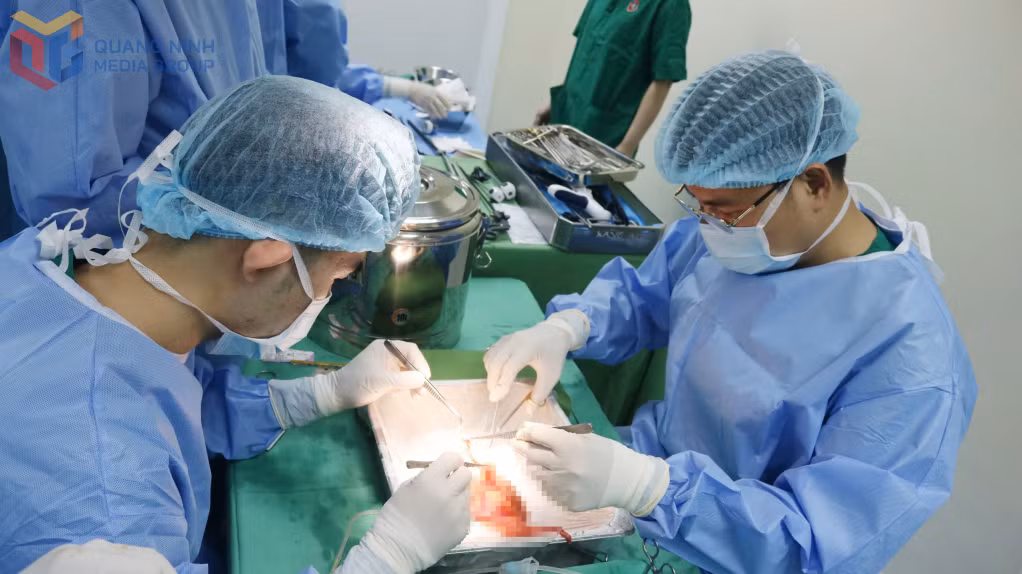 Thận sau khi được lấy khỏi cơ thể người hiến.