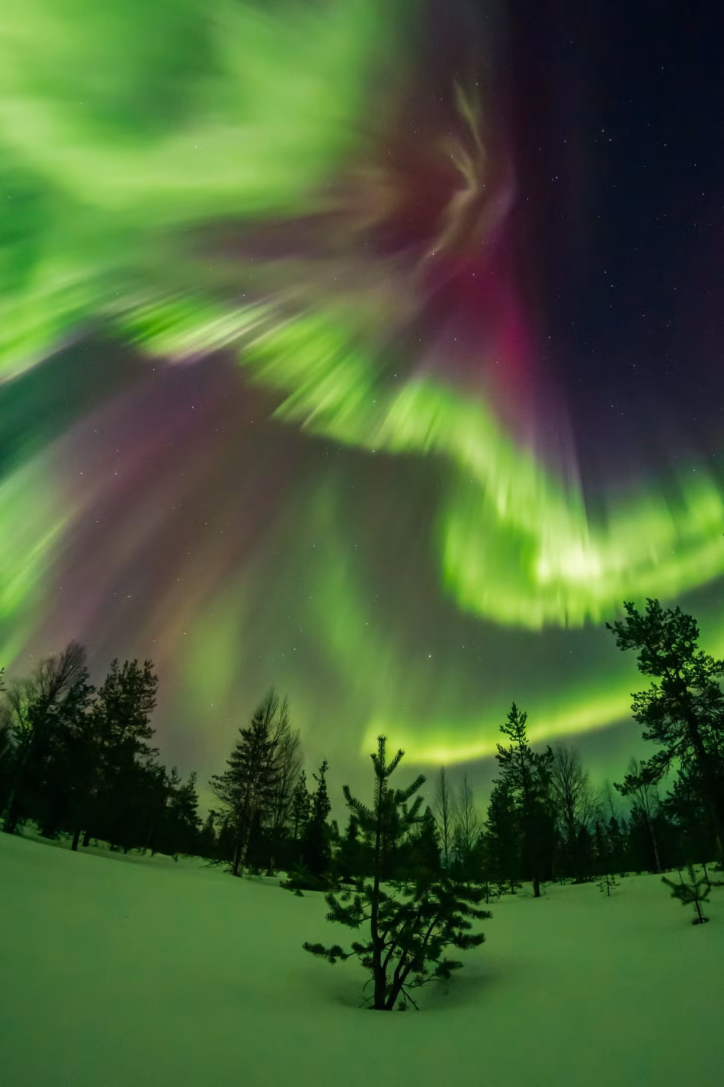 Quang cảnh cực quang trên bầu trời Rovaniemi, Lapland, Phần Lan ngày 25/3. Ảnh: All About Lapland/Reuters.
