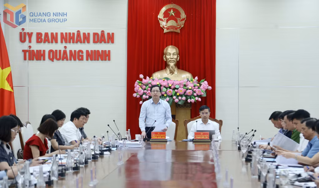 Đồng chí Dương Quốc Huy, Phó Tổng Thanh tra Chính phủ kết luận tại cuộc họp.